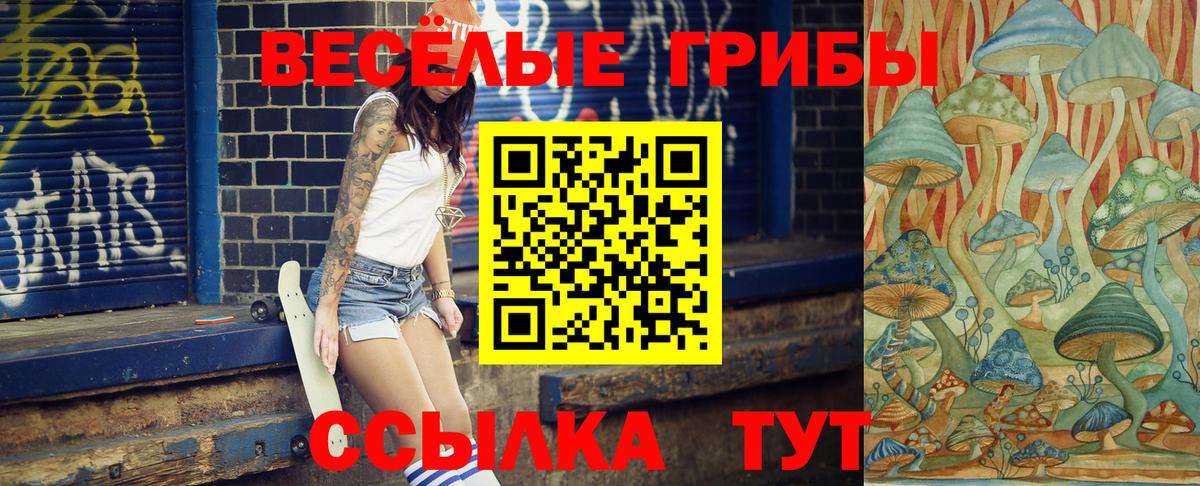 купить   Галлюциногенные грибы Cubensis  Вход с VPN  Углич 