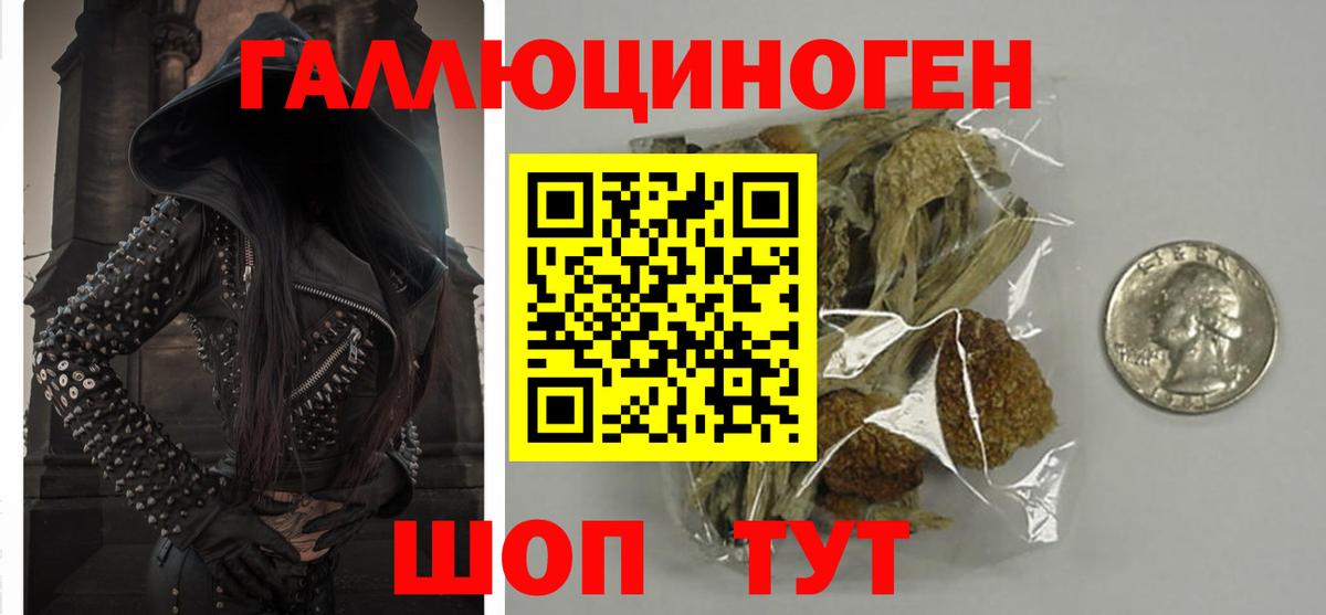 Галлюциногенные грибы GOLDEN TEACHER Углич